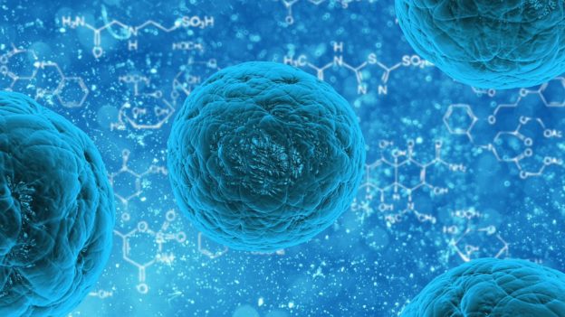 MSC Cell Biology