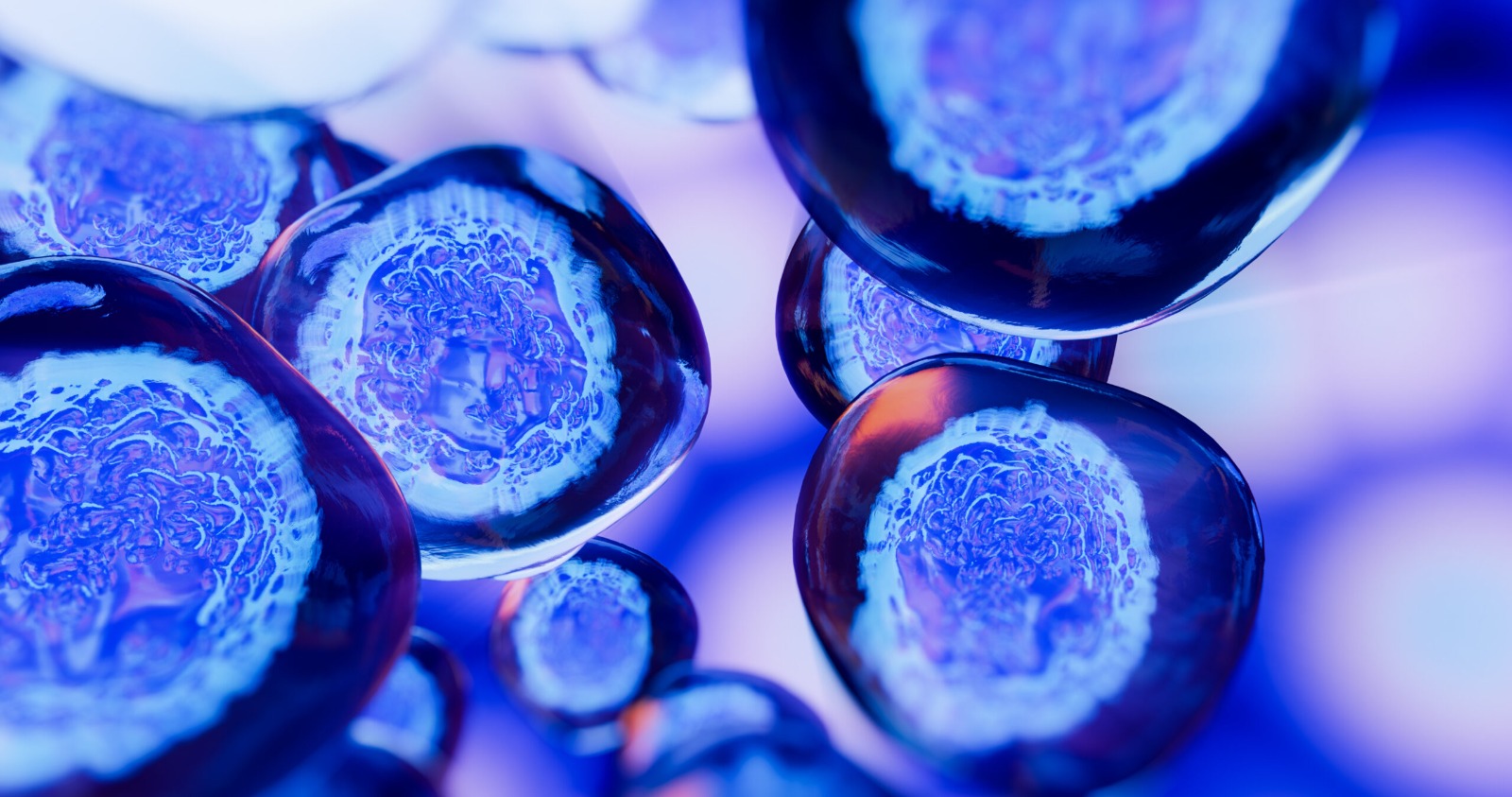 Stem Cell Research